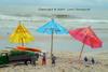 Signs of Summer