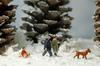 A Winter Wonderland