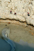 Divers of the Abyss