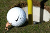 The Golf Genie