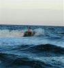 Carolina Surf