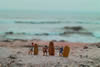 Surf 's Up!