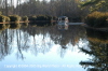 Reflect