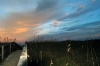 Carolina Beach Sunset