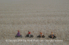 Beach Biking