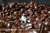 Coffee Bean