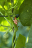 Just hanging out