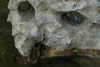 Naional Geographic