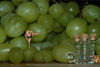 Private Label Wine