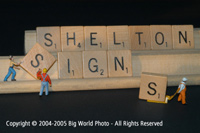 shelton_sm